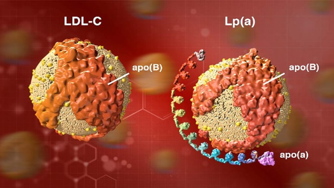 Λιποπρωτεΐνη (α), ένας σχετικά άγνωστος εχθρός...